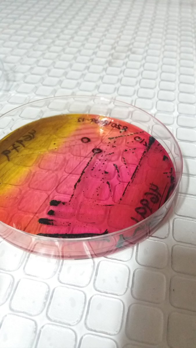 altercreed1996's tweet photo. Les traigo arte bacteriano #XLDagar https://t.co/pXNPTskqxr