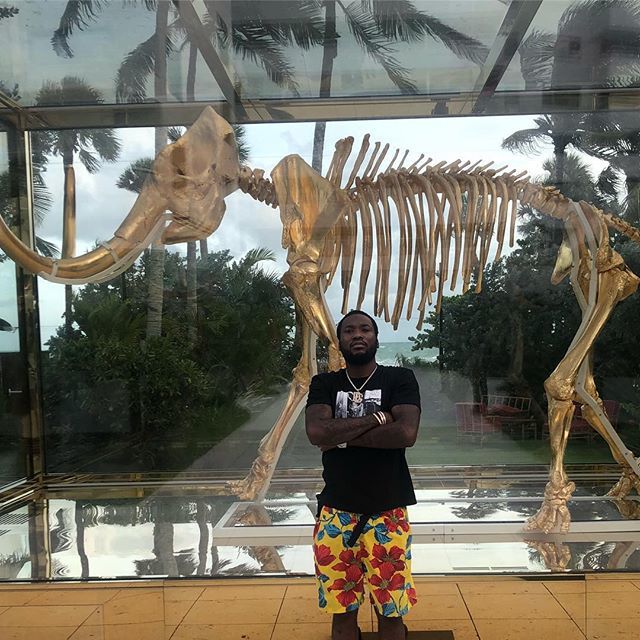 MeekMill's tweet photo. LETS ADDRESS THE ELEPHANT IN THE ROOM 🤷🏾‍♂️ https://t.co/esfOqvTG2P https://t.co/221GxFA4bT
