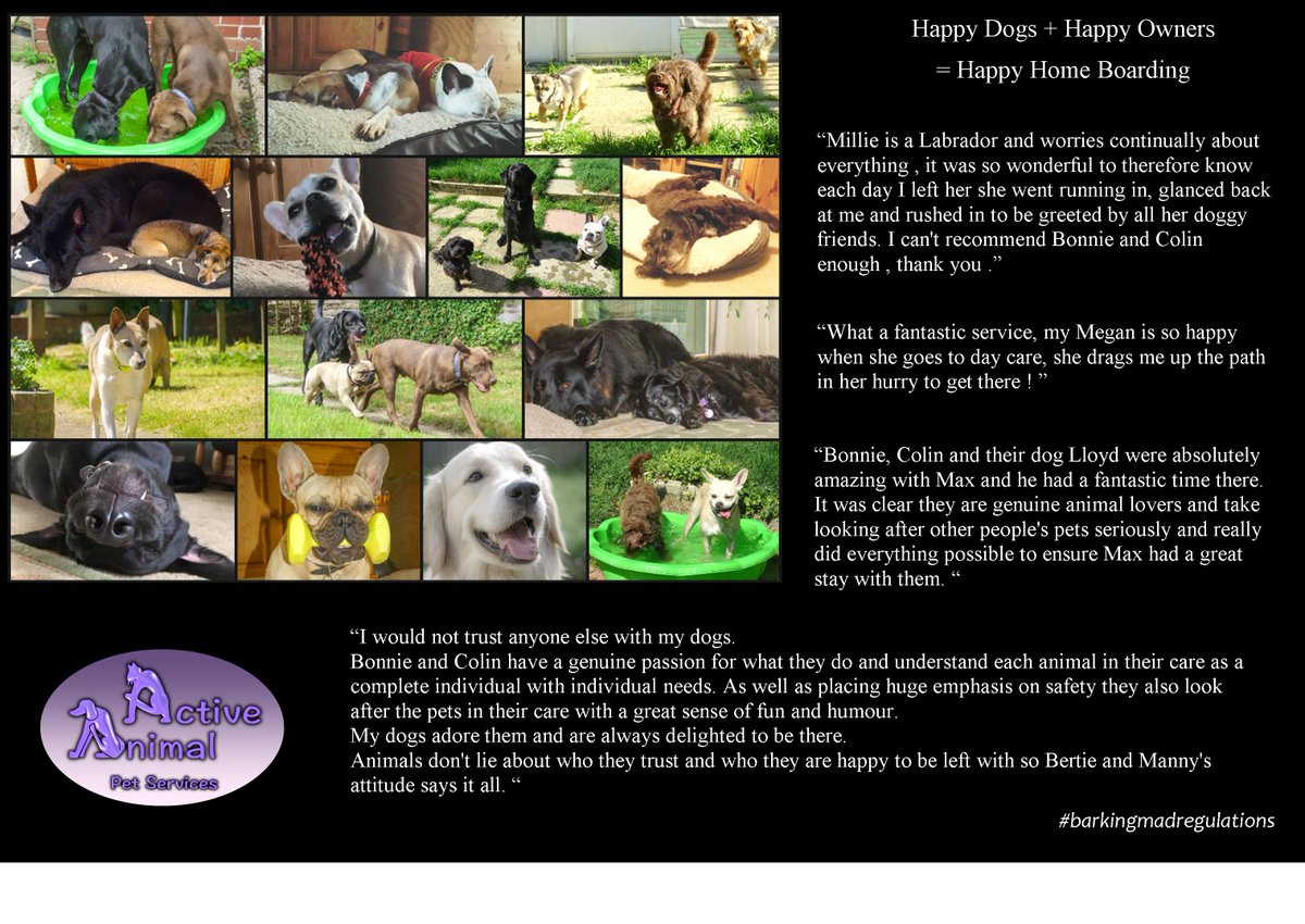 happy home dog boarding