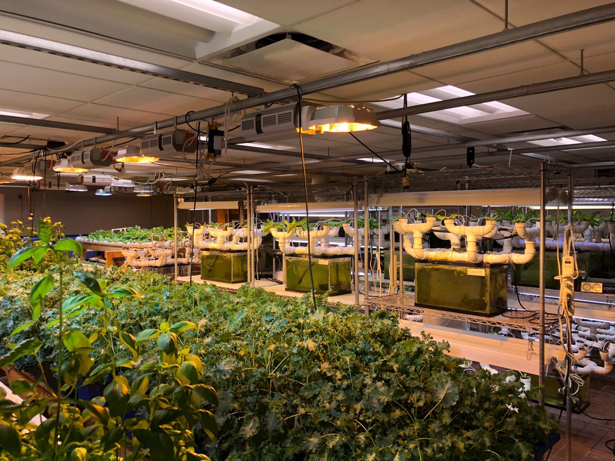 BrettStanton006's tweet photo. The Hydroponics Lab at Park West High School in New York City was quite impressive. https://t.co/XYfmXKWhXn