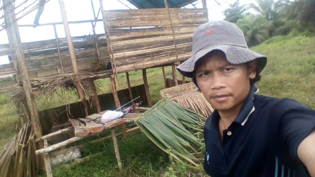 MkamranO9's tweet photo. Udah slesai ngangkut atap dri daun RUMBIA /sagu,,mau mulai me masang di Sini lah Nanti nya TEMPAT tinggal qu yg BARU https://t.co/wS97uXlyGy