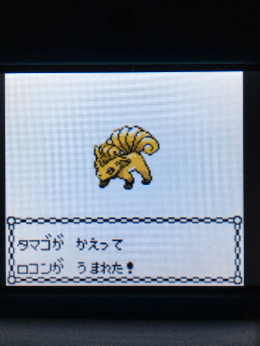 色違いポケモン紹介 Vc産ロコン 自由に生きてあそblog