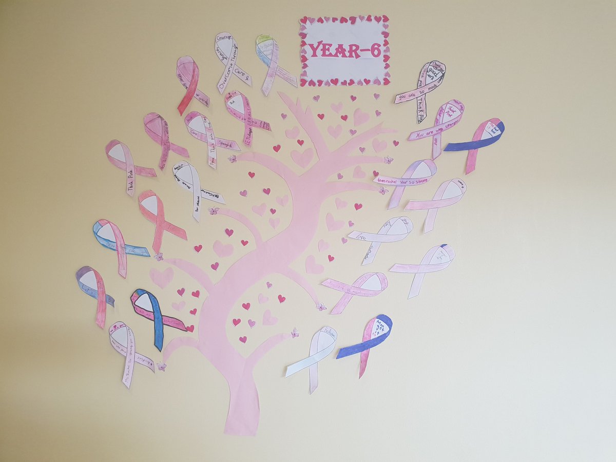 Primary | Raffles International School tweet media