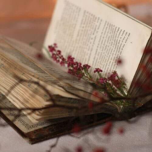 daralrafidain's tweet photo. أنا أختار الكتاب التقليدي ، الكتاب الورقي ، الذي يفوح برائحة الحبر ، الذي يصدر حفيفاً عند تقليب أوراقه... الذي يدفئ صدري .
••••••••••••••
#إدواردو_غاليانو https://t.co/qRPhwgmaQH