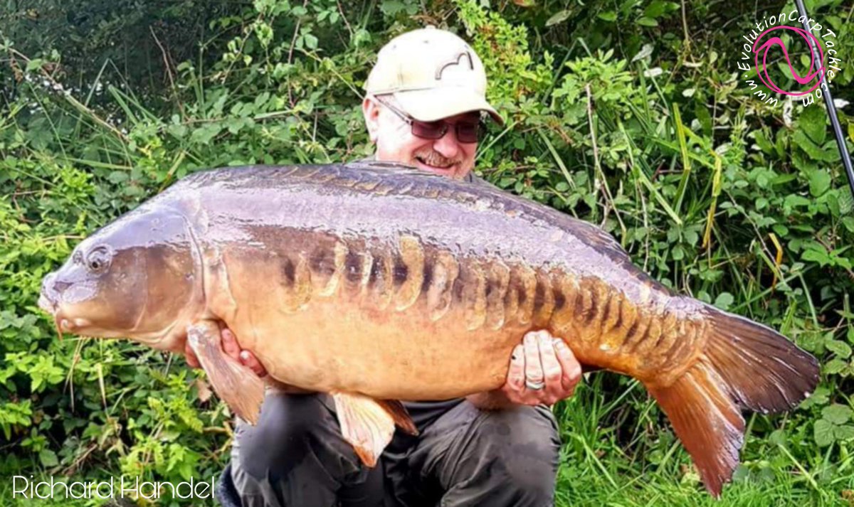EvoCarpTackle's tweet photo. Team member Richard Handel with a nice lump in the NSR over a weekend session. Landed, weighed, retained and released in the same net head.....
https://t.co/pJQKNvDNOj #EvolutionCarpTackle #Evolve® #ArtificialBaits #NSR® #TotalFishCare #BioSecutity #LastElementsRange #TeamEvo https://t.co/VtJFg2k0Oa