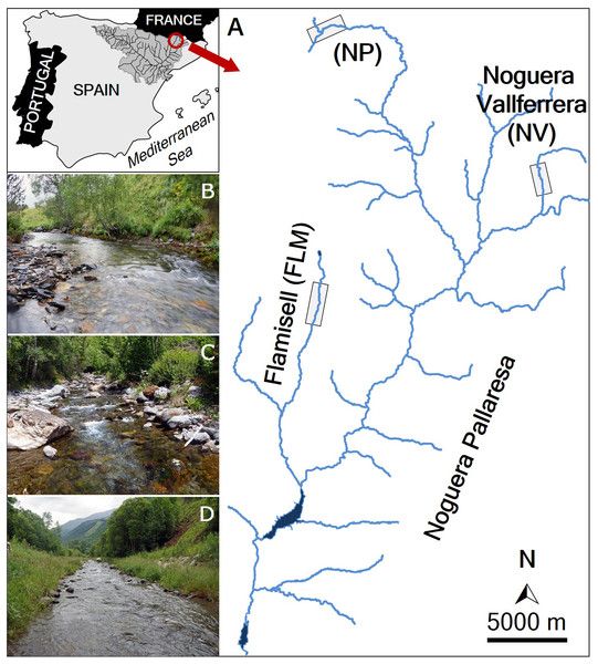 PeerJ Publishing tweet media