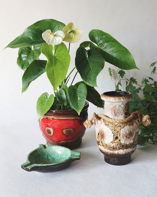 RetroTerapia's tweet photo. New in my shop • Scheurich red planter and unidentified but very nice ceramic ashtray. This exact rope vase by Dumler &amp; Breiden isn't available yet but there is a very similar one #midcentury #scheurich #Vintage #MidcenturyModern https://t.co/MmG6oTsSiT