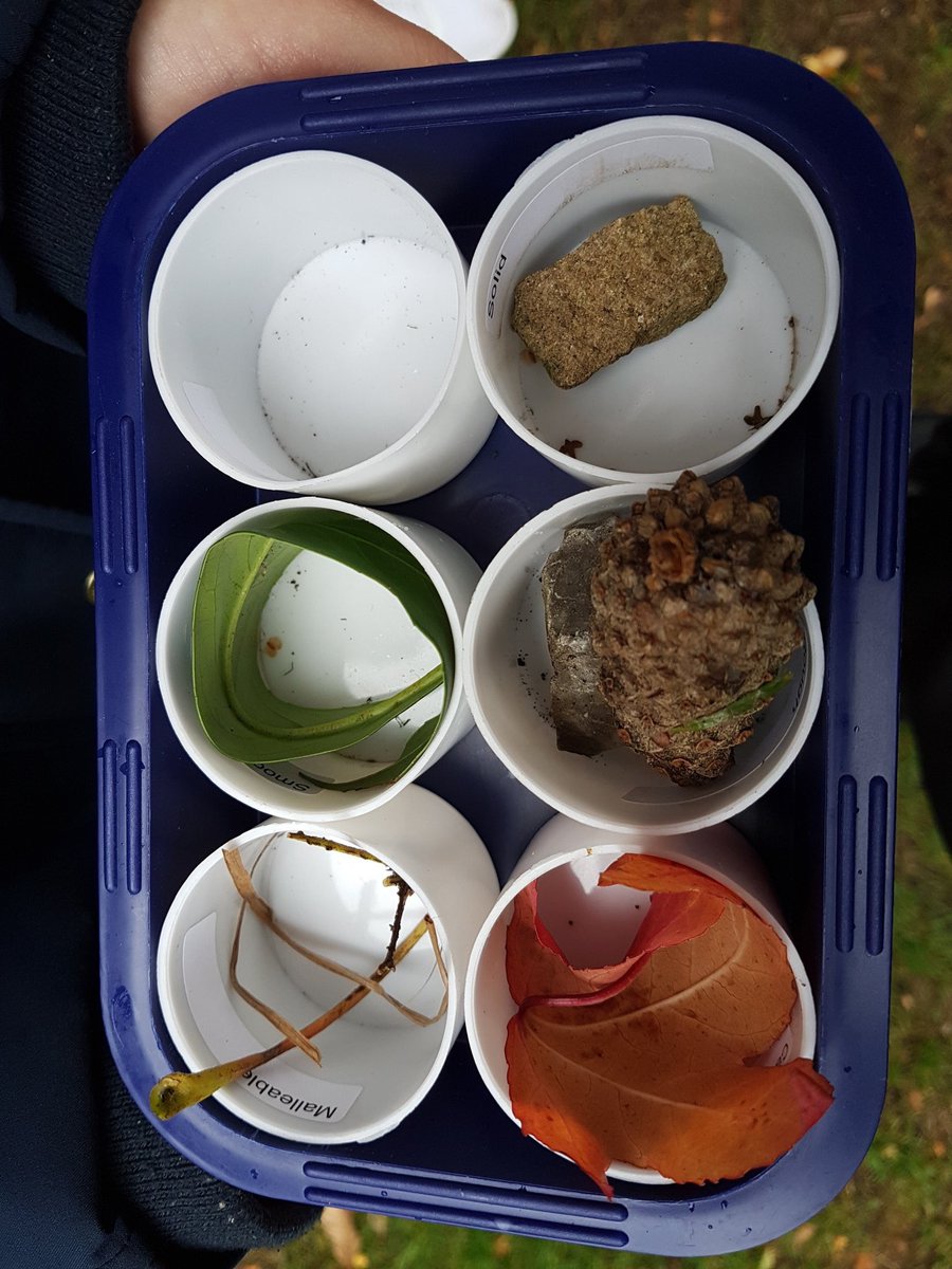 MissEWoodman's tweet photo. Really enjoyed learning about and experiencing LOtC and bucket schools. They are a great way of making lessons fun and enhancing children’s learning! https://t.co/SMjiGJHIq5