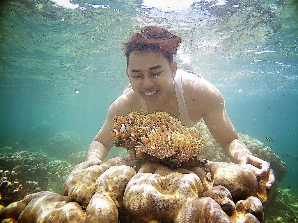 arief_wisudian's tweet photo. 🐠🐟nemo oh nemo.. Tetap Lestari yah di taman indah trumbu karang bawah Laut Pahawang Lampung 😀🙏 berkembang biaklah yang banyak, agar Lestari sepanjang masa.. Gemes 😆😅
#ikannemo #nemofish
#nemo #diving #underwaterphotography #beach #pulaupahawang #pahawangisland #pulaulampung https://t.co/XOORsMdWqf