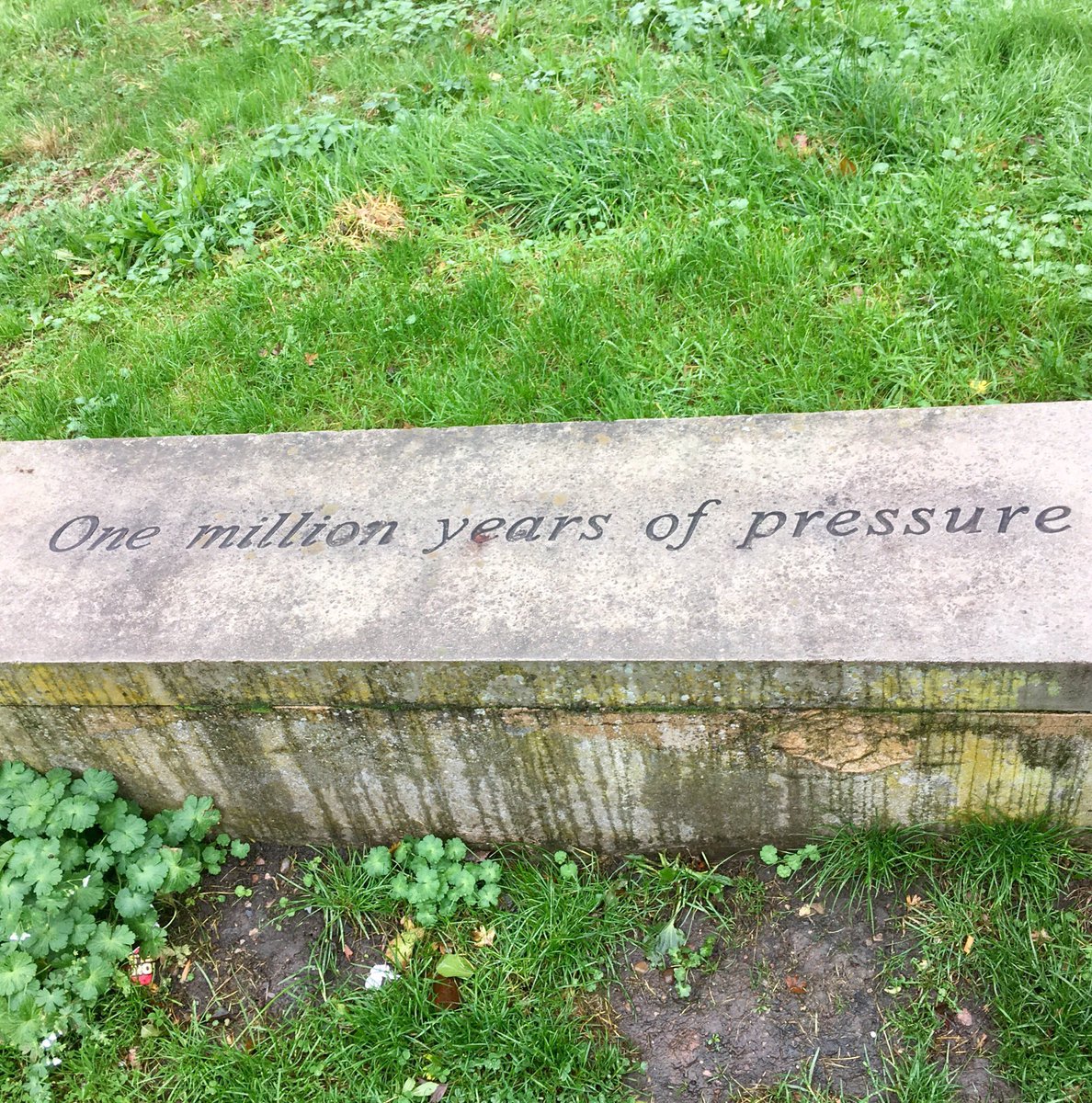 Box_Boy99's tweet image. I know how you feel stone. I know how you feel.