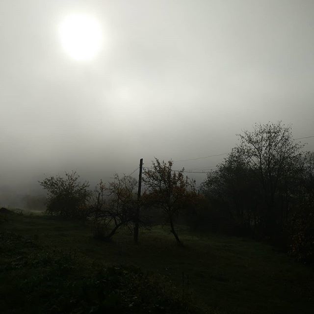 afigenen's tweet image. Текстури зранку погано завантажуються, все норм.
#nofilter #notextures ift.tt/2PsGI4J