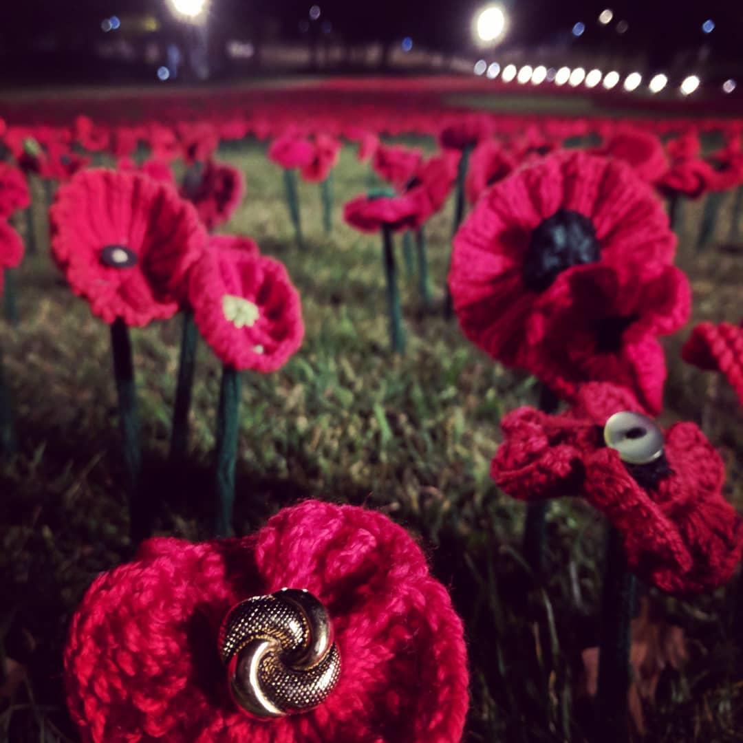 TaraT_H's tweet photo. 62,000 handmade poppies have bloomed around the @AWMemorial to #honourthespirit of those who paid the ultimate price during #WW1. https://t.co/PHSkAttCVg https://t.co/lCE6NK31zb