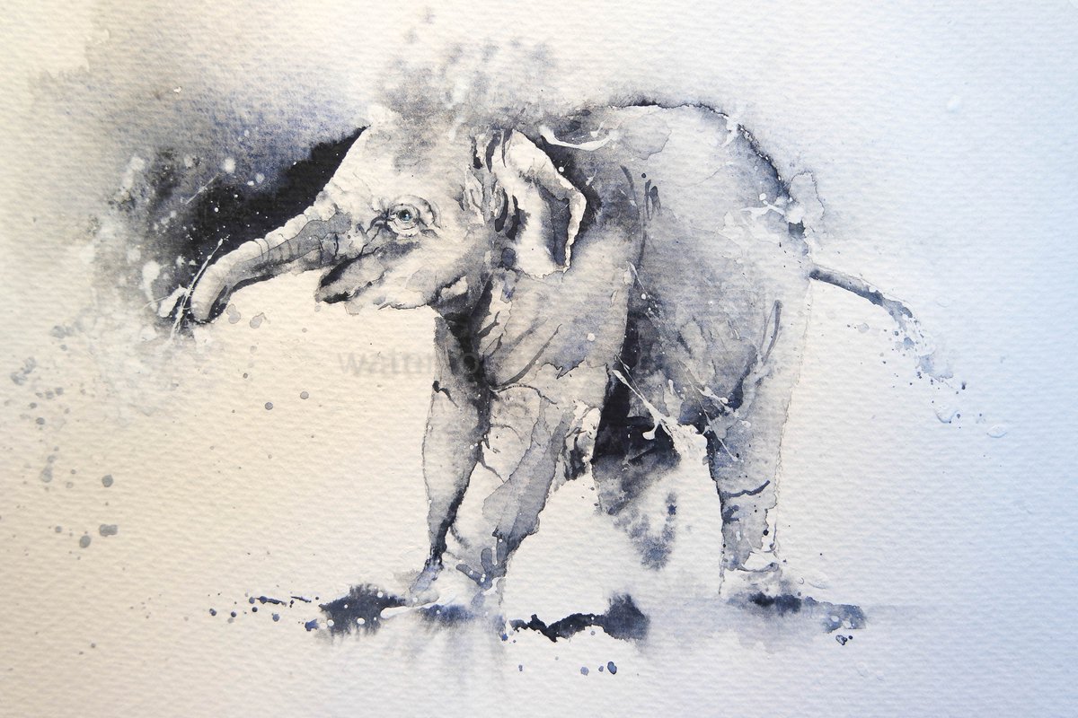 'Breathe slowly and deeply and listen.
Give all your ideas a chance.
Let the sun beat down on your goodness,
And kick off your shoes and dance.' 
© Paul Hayward
#watercolour #elephant #whipsnadezoo #wildlifeart #movement #joy #BigArtBoost #wildlife #artist #painting #art #animal