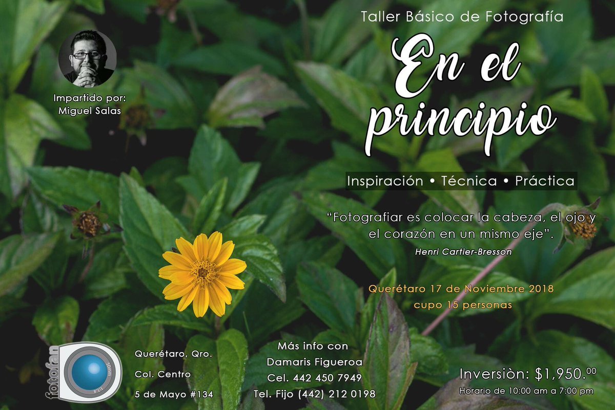 fotofanqro's tweet photo. #tallerbasico #fotografia #enelprincipio #fotodigital #camaradigital #reflex #canon #nikon #sony #ISO #obturacion #centrohistorico #Querétaro #sabado #noviembre #tallerdefotografia #tecnica #practicadefotografia #siguenosenfacebook https://t.co/a63aFxqQZc