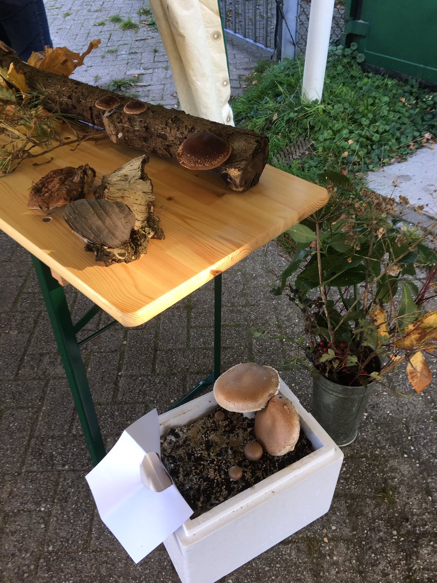 BalijhoeveZM's tweet photo. Paddestoelen dag op de Balijhoeve !
Herfstwandelingen, kinderactiviteiten samen met IVN en Staatsbosbeheer ! https://t.co/KMCiRNbKjv