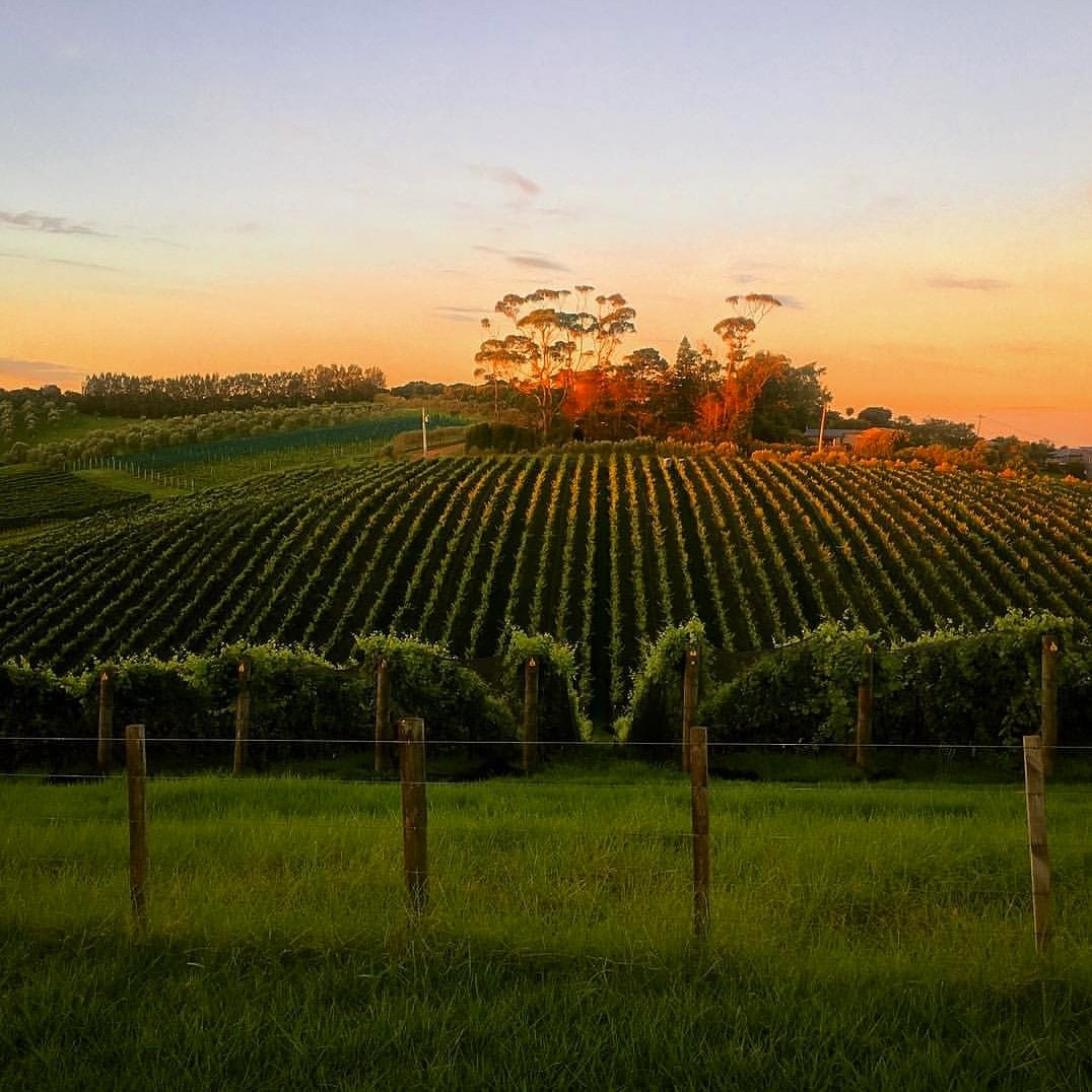 Ananda Tours tweet media