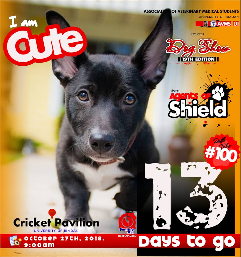 AVMS_UI's tweet photo. #agentofshield
#dogs 
#dogshow
#canine 
#unibadan
#UniversityofIbadan
#avms_ui
#AVMS
#avms https://t.co/kC5VlKiXk6