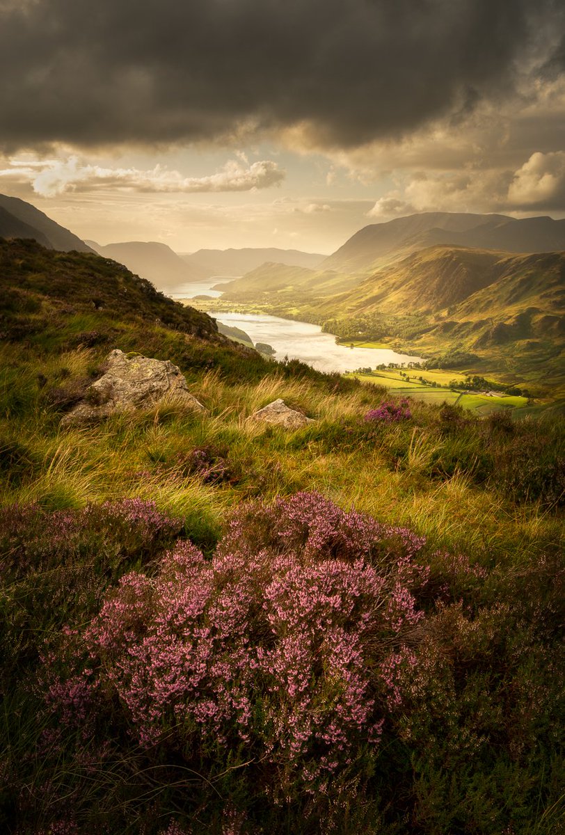 Just got to work sorry for the slow response - delighted with Buttermere Bloom winning the Sunday Times award  in the @Takeaview LPOTY 2018, thanks to everyone who's wished me well and a big congrats to everyone who's had success this year 👍