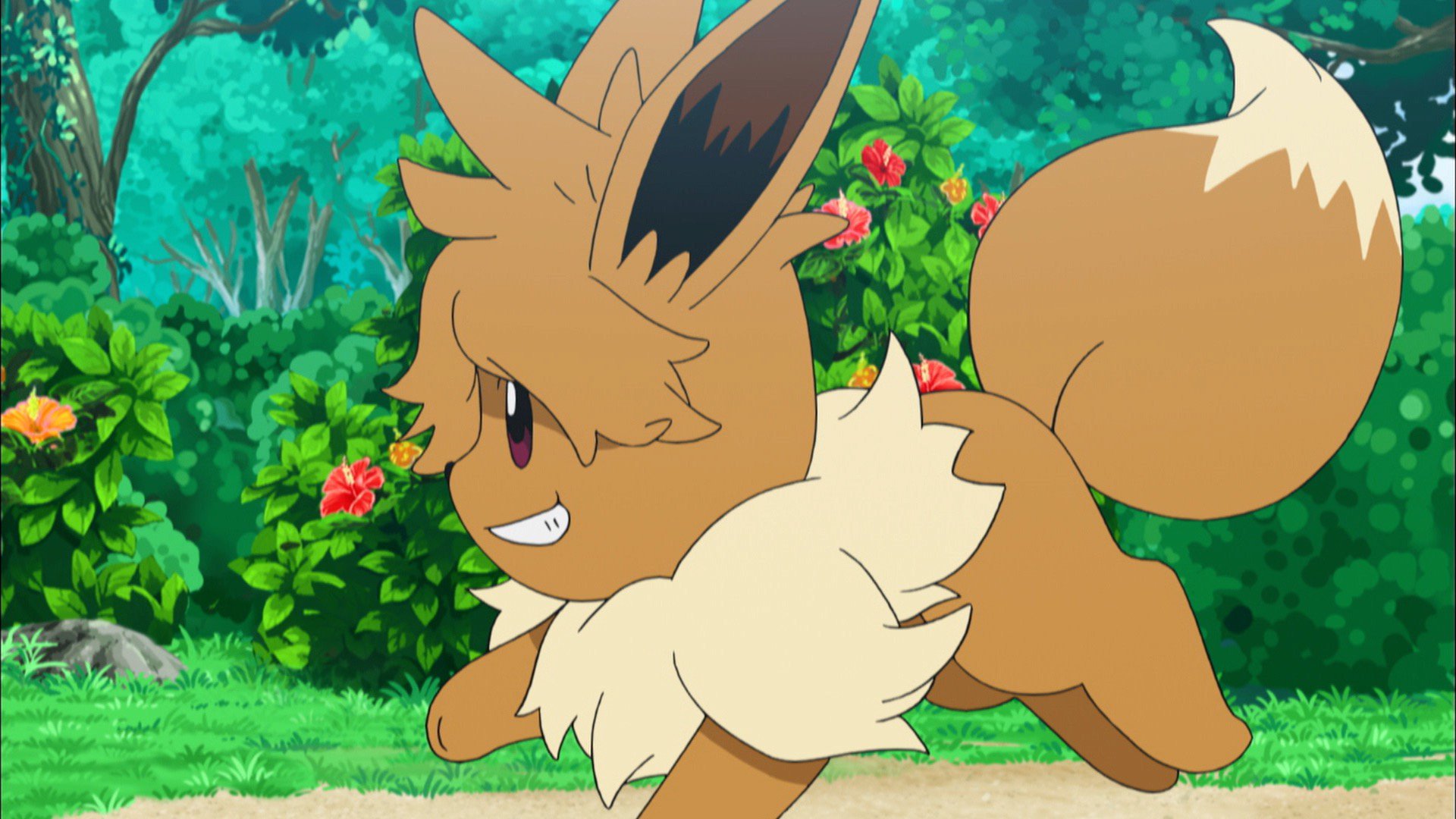 公式 プロジェクトイーブイ 続 在 Twitter 上 Tvアニメ ポケットモンスター サン ムーン はこのあと18時から放送 新opと新edにはボサボサ頭の謎のイーブイの姿が 登場 活躍は果たしていつ 乞うご期待ください Anipoke アニポケ