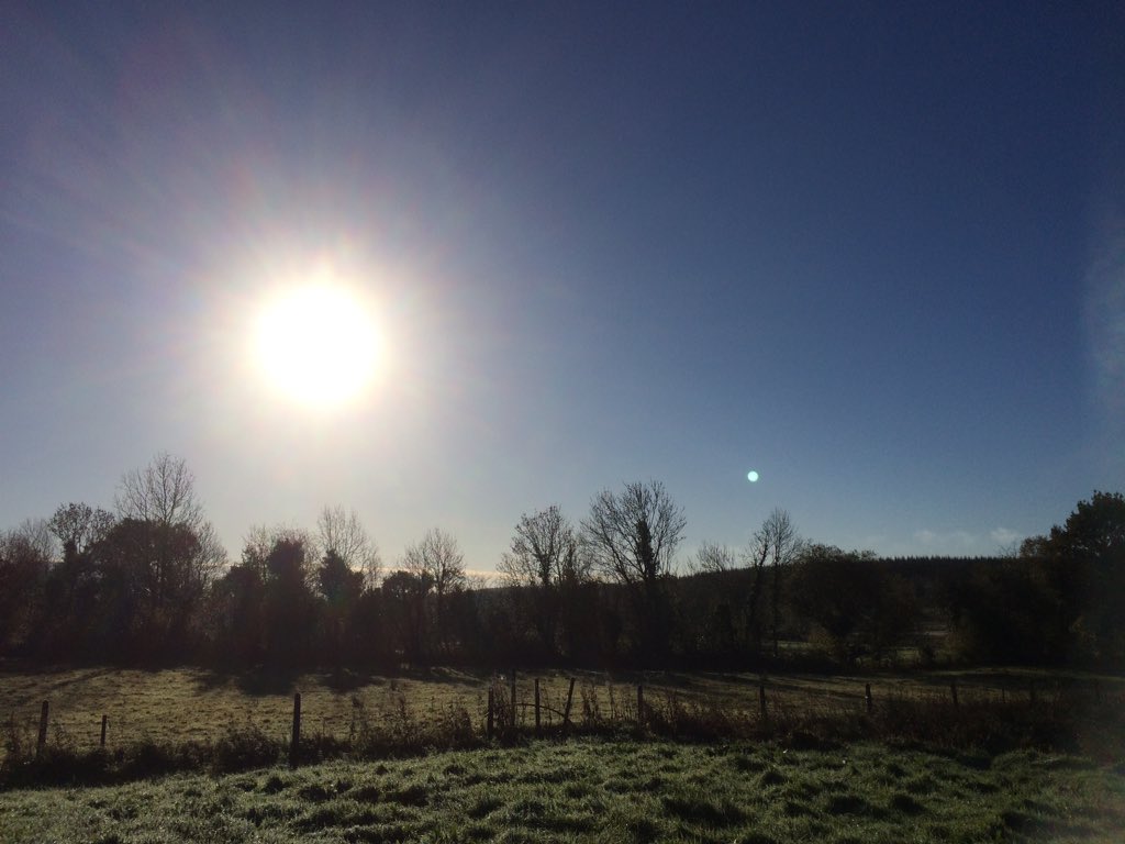 ferrisjay's tweet photo. The sun it shines and the garden calls. While yesterday was a great day for ducks today is a great outdoor day for the gardener. I'm off out to play in the sun 😊 https://t.co/N6Rh4mYk2k