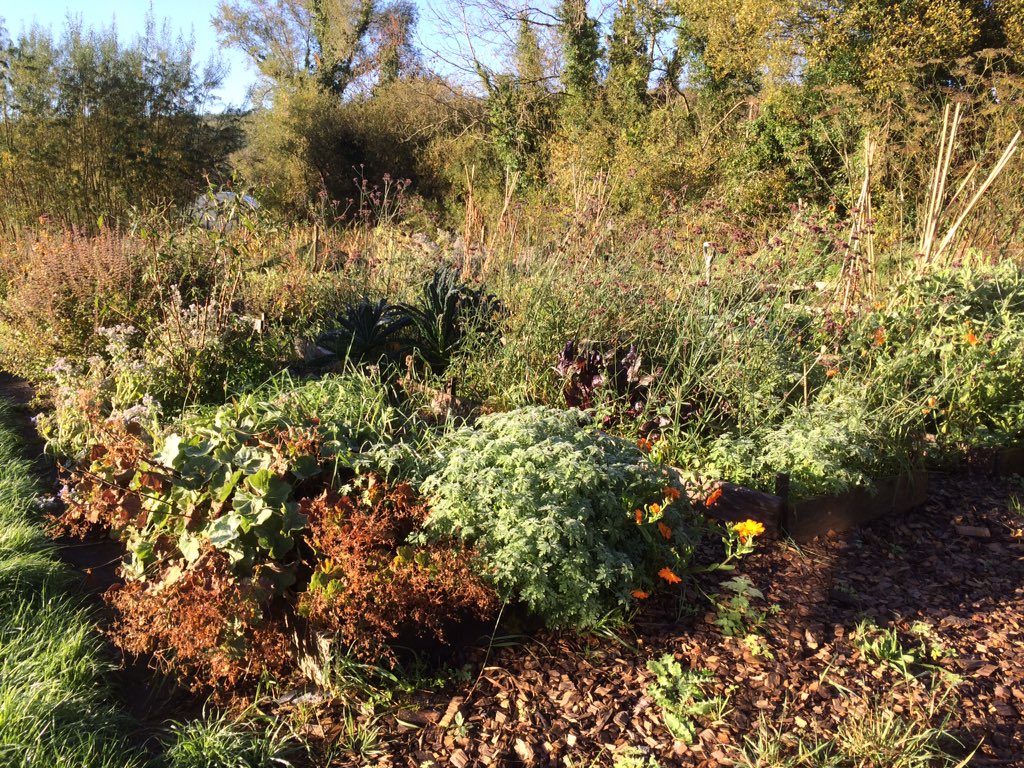 ferrisjay's tweet photo. The sun it shines and the garden calls. While yesterday was a great day for ducks today is a great outdoor day for the gardener. I'm off out to play in the sun 😊 https://t.co/N6Rh4mYk2k