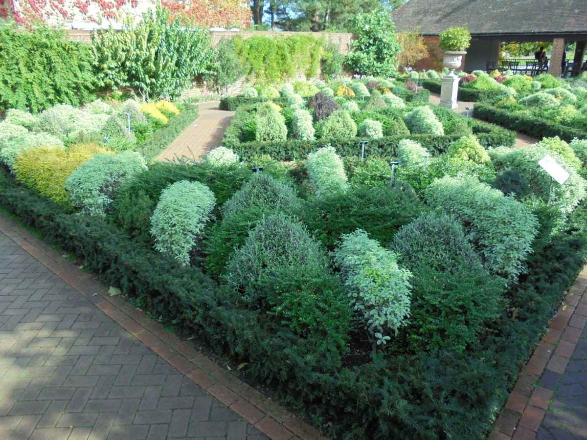 ABJP49's tweet photo. Alternatives to Boxwood @RHSWisley : Pittosporum tenuifolium, Taxus baccata, Berberis, Lonicera nitida dwarf varieties, Podocarpus... #gardeningtips #gardening #jardin #plants https://t.co/SSJZPDj3r7