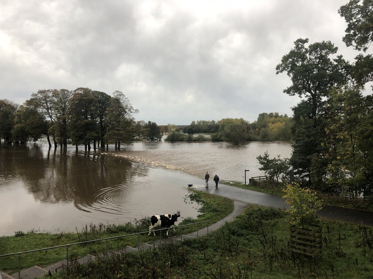 GavinBremner's tweet photo. Water is high this morning!!  #Carlisle #cumbria #floods @newsandstar @CumbriaCrack https://t.co/aNaM7eanrY