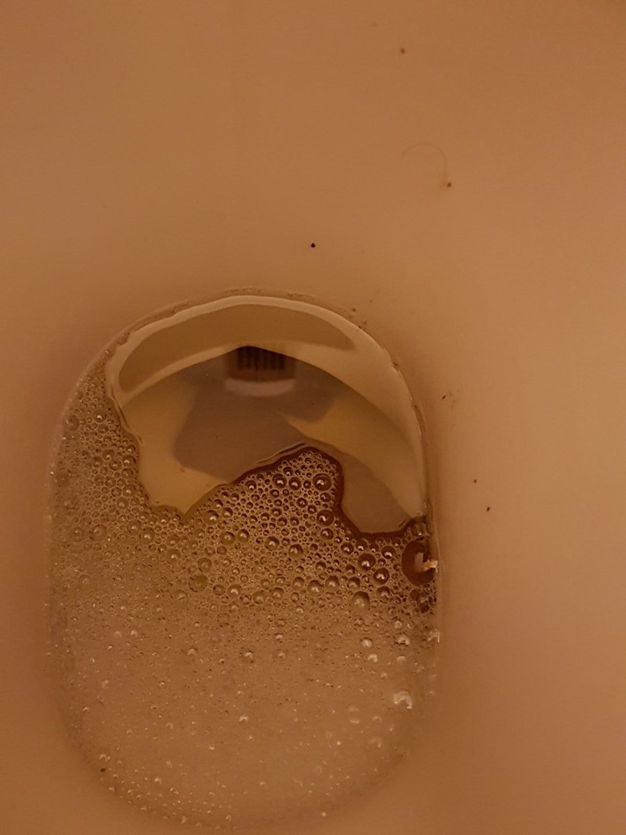 day_poop's tweet photo. What's the story morning glory? In my case a big fat relief shit. One of those that just makes you go aaaaaah when you're done. https://t.co/vRvyEsMvwl