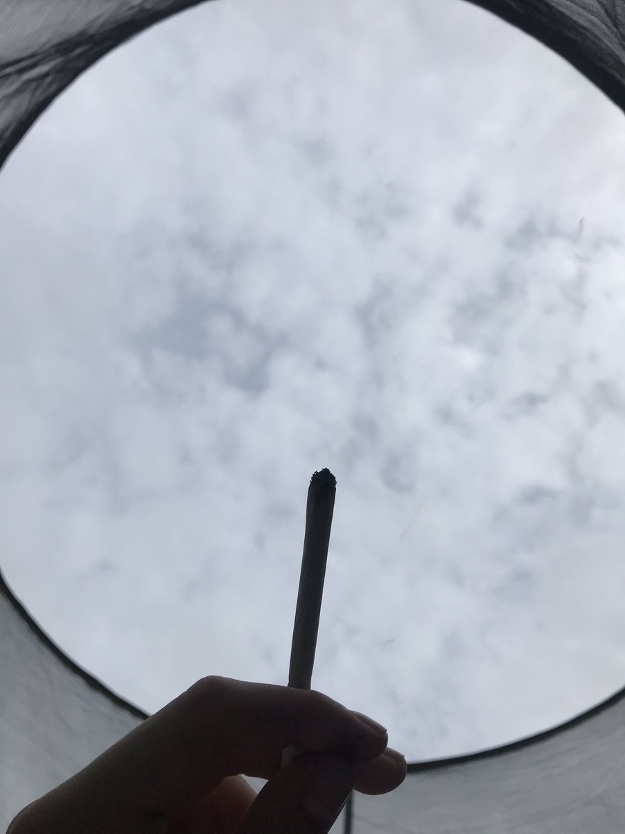 Sydneynewman20's tweet photo. Happy Sunday:)) ❤️💛💚 #sundaybunday #SundayMorning #AlwaysDank #ganja #highlife #LegalizeIt #MaryJane #smokeweed #wakeandbake https://t.co/tbfZtrYXi2