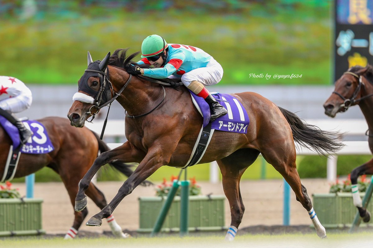 Yuya F634 Instagram Posted T Co Wl9zqyhmwy Horse Horseracing Thoroughbred Followme F4f 競馬 Followforfollow Instagram インスタ Photography Photo Jra アーモンドアイ クリストフルメール 秋華賞 Christophelemair 京都