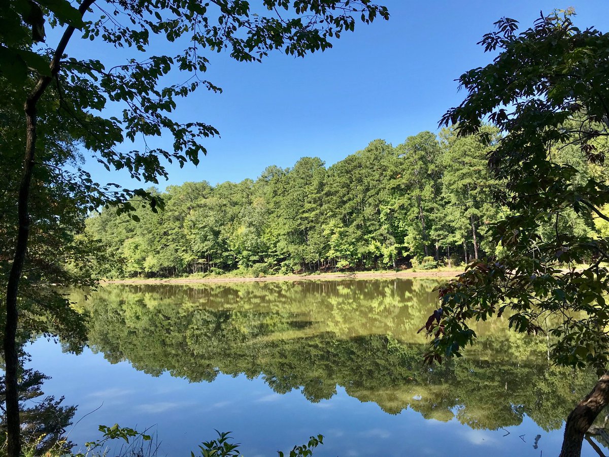 tjfrank8's tweet photo. I went walking. #nature #naturelovers #NaturePhotography #Trees #Lake #NationalPark #DurantPark #Raleigh #NorthCarolina #ILoveRaleigh https://t.co/yiDfhWGQ7j