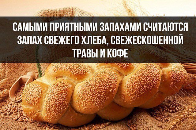 best_fact's tweet photo. https://t.co/jih3re42jA