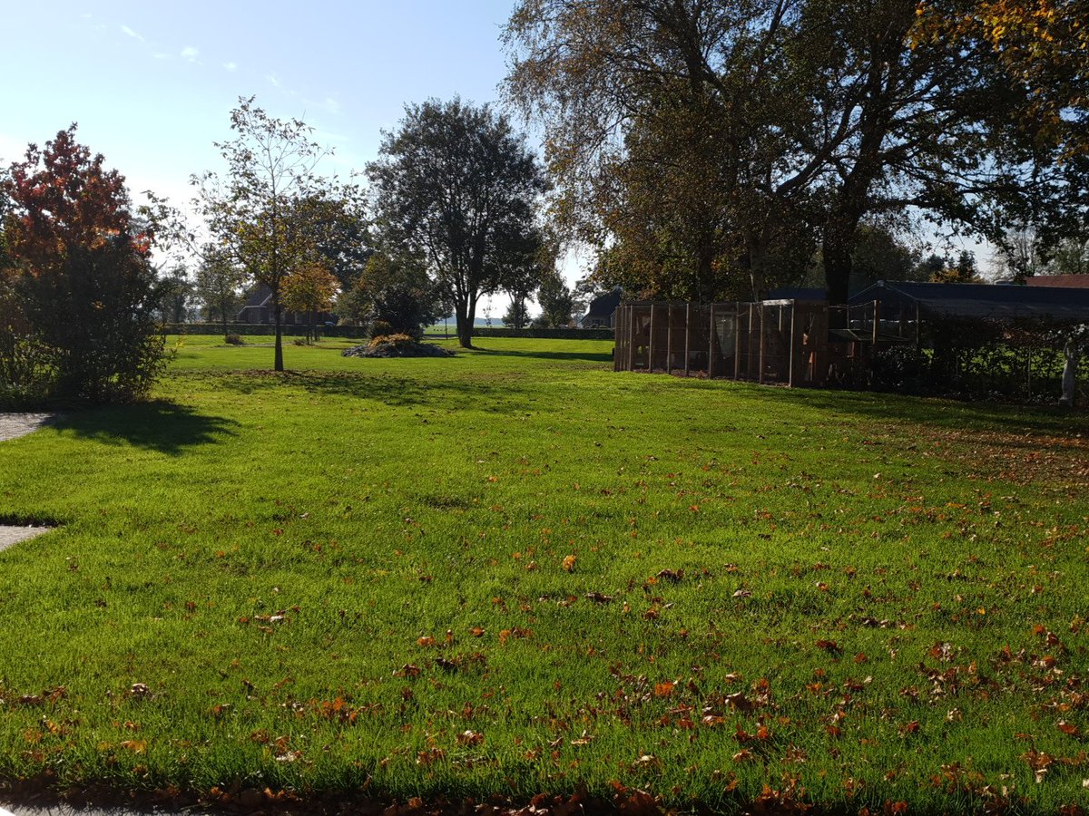 Onvoorstelbaar  .. in oktober heerlijk op je terras kunnen zitten. Verrukkelijke toegift na een prachtige zomer. #genieten