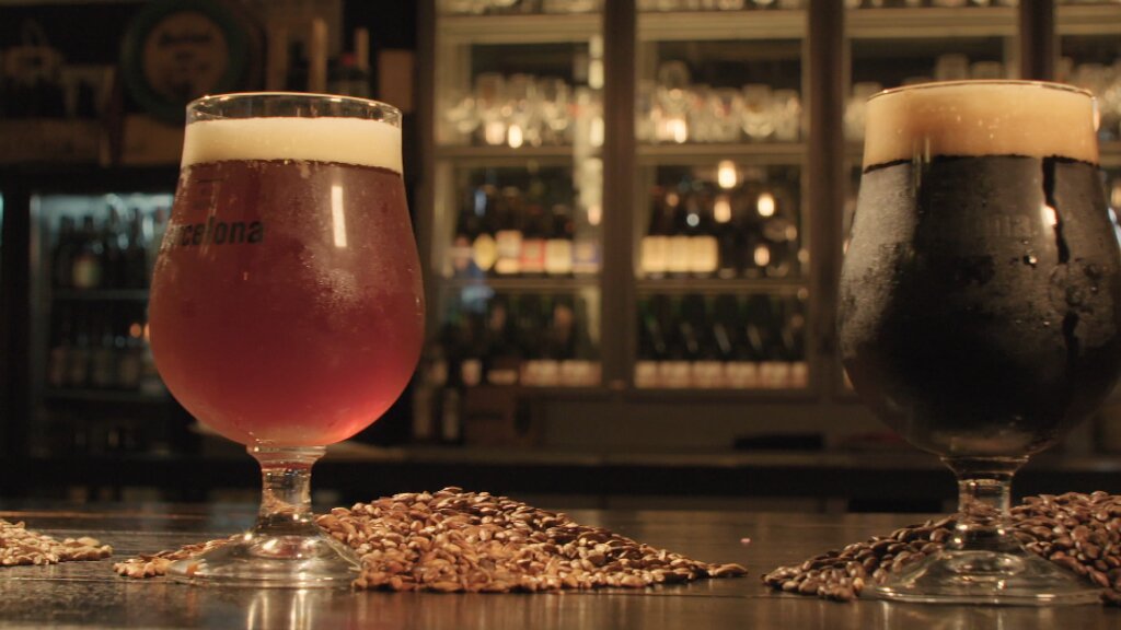 3CatInfo tweet media