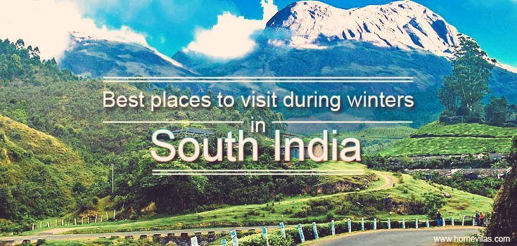 subin_pr's tweet photo. Most atractive places of #Munnar #
#Comevisit. #realbeauty #oflife
Comfortable for
#adventures 
#couples
#wholoves,#nature
#youth #etc........ https://t.co/2YfjKf2K2p