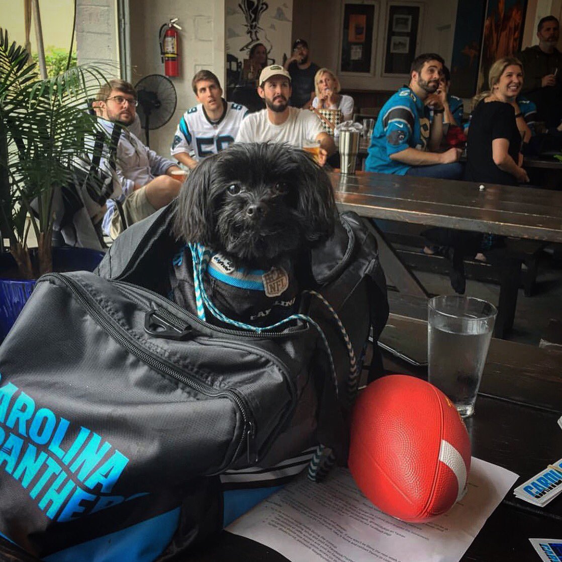 Are you ready for some football?! <a href="/OakCityRiot/">Oak City Riot</a> mascot, Coal, is! It’s game day and Long Leaf Swine BBQ joins us for their first visit from 2:30-7:30pm. Come hang, watch some football, drink a few beers, and eat some BBQ! #howwedosunday 🏈 🐷 🍺