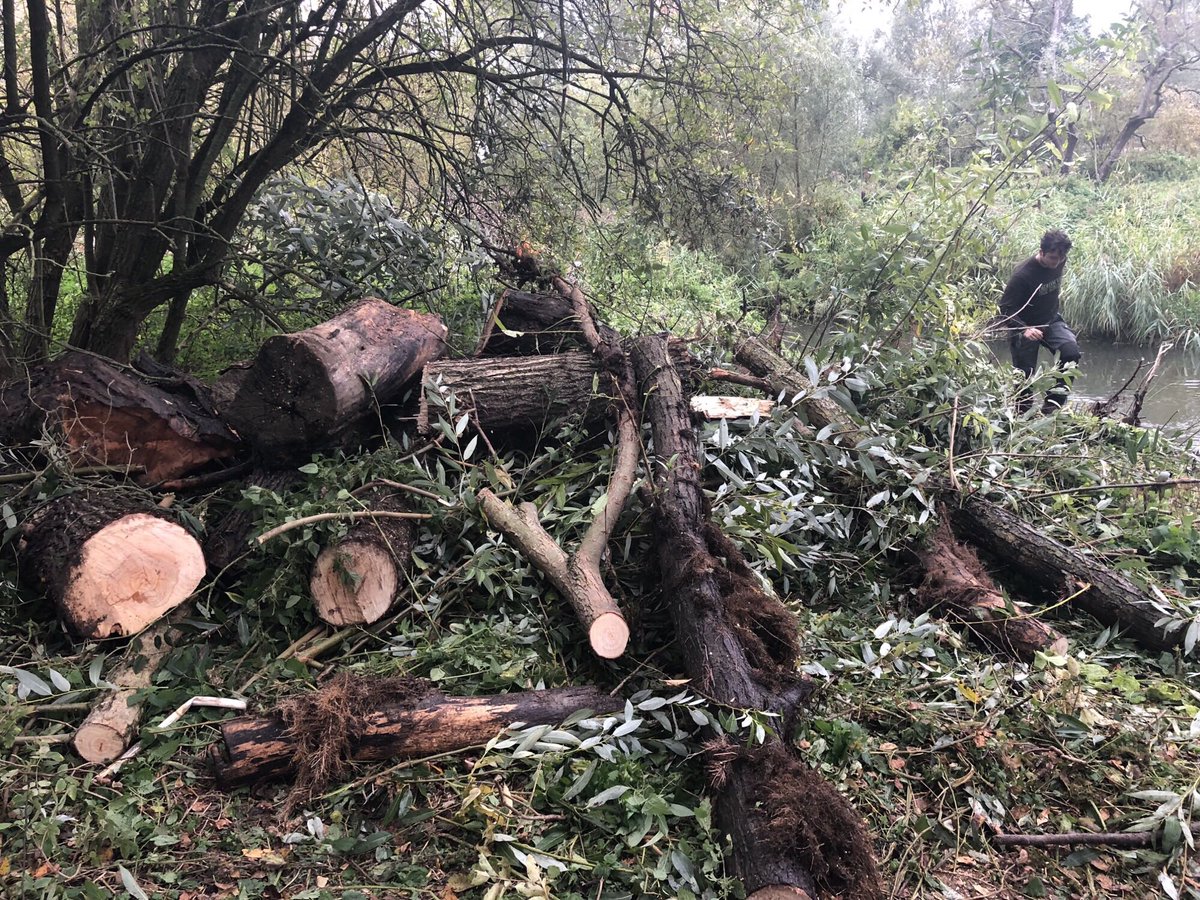 Ang_WaterwaysEA's tweet photo. Come rain ☔️ & shine ☀️@EnvAgencyAnglia are out & about #OnPatrol ensuring you can still #navigate safely, here undertaking further fallen tree🌲removals on a wet, but still enchanting beautiful #RiverStourNavigation #RiverStour #Suffolk #Essex #AnglianWaterways @RiverStourTrust. https://t.co/sUtc1oQmnC