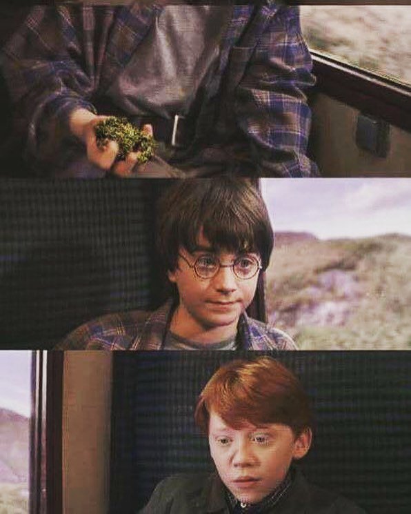 Progamelandweb's tweet photo. Magia de la tierra

#harry #weed #magia #canuto https://t.co/tevJQOSlhz