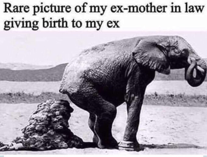 👌🏾👏🏽😂 https://t.co/Ck28dw7YTT