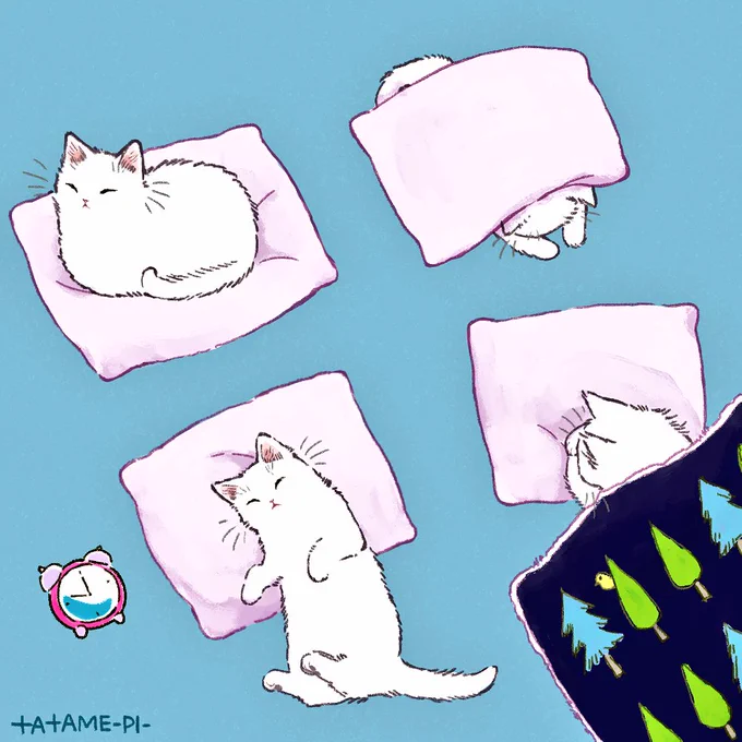 まくらで寝る猫? 