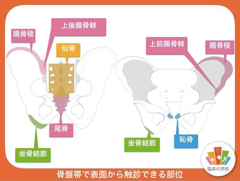 きょく こつ じょうご ちょう