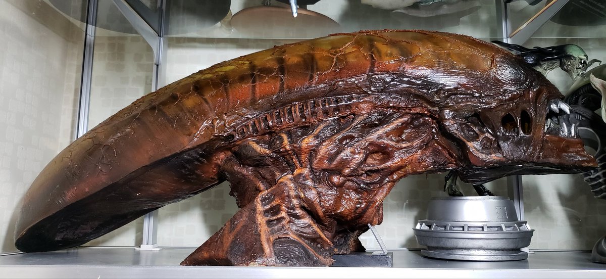 ひろ くま V Twitter ブルース ハンシング製 エイリアン4 Alien Resurrection ニューウォーリアー1 1ヘッド クローズド マウス版 ニューウォーリアーのフードに度々見られるウネウネの異物は撮影時に塗り手繰った樹脂が硬化したものらしいです ブルースの