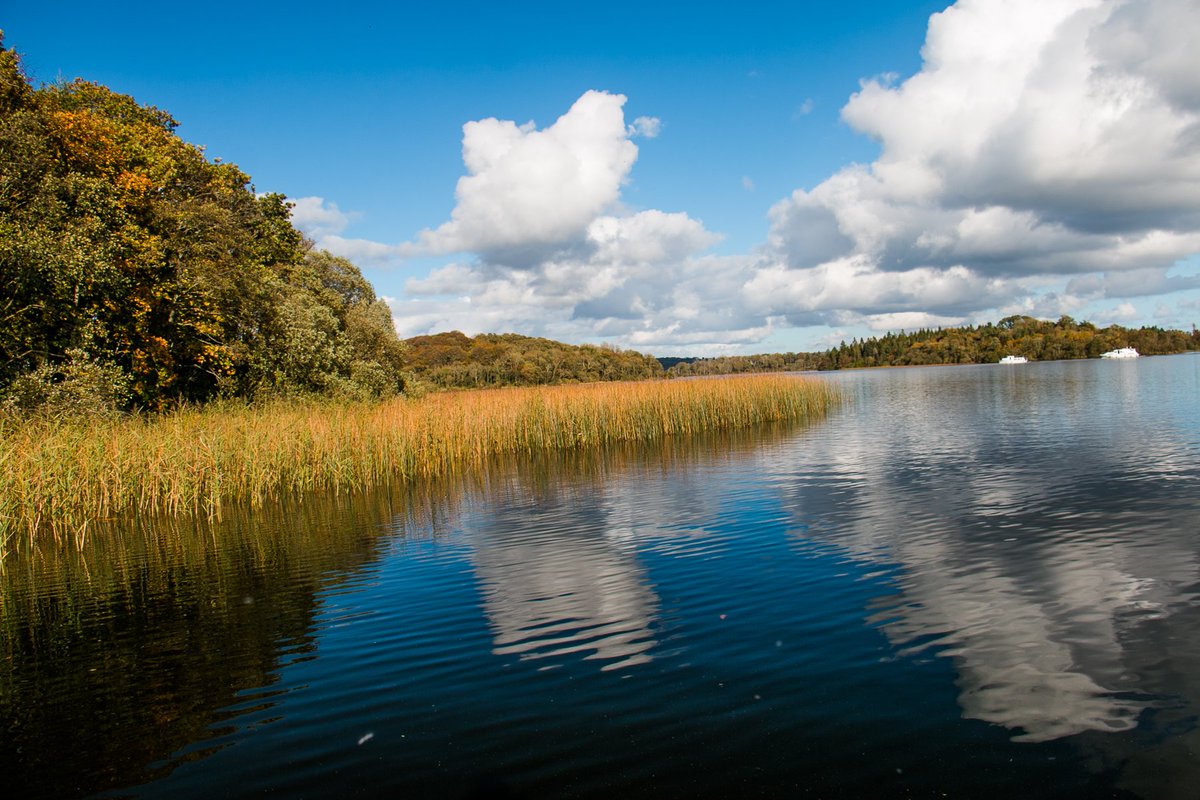 Mark Kelly tweet media