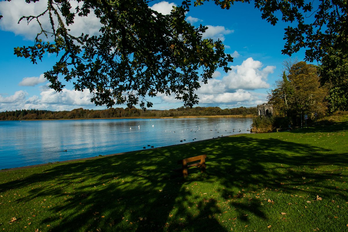 Mark Kelly tweet media