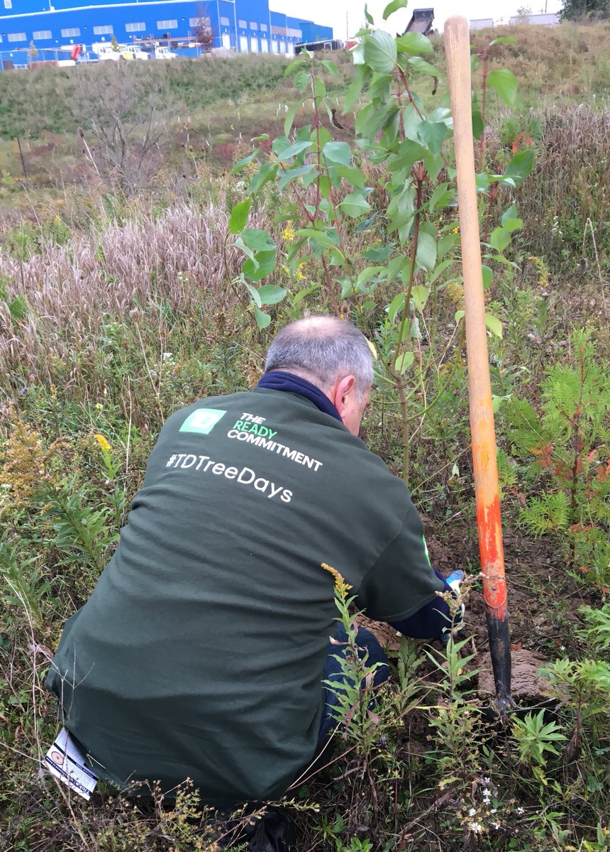 susanmelfi tweet media