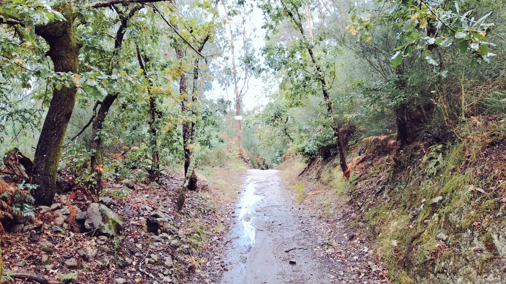 pst418's tweet photo. Day 6, Rubiães to Tui, 20km, 4.5 hours. (+5km detour for a hotel with jacuzzi bath) #first100km #bergfest https://t.co/XJKlpfEuWb