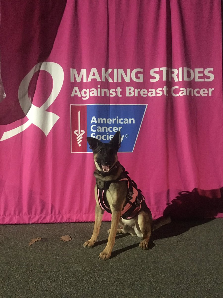 LoveK9Louie's tweet photo. Today, in Central Park, people are Making Strides Against Breast Cancer. Let's beat cancer!
.
#cancersucks #makingstrides #makingstridescp #makingstrideswalk #makingstridesagainstbreastcancer #americancancersociety #LoveK9Louie https://t.co/WsHo9aMhll
