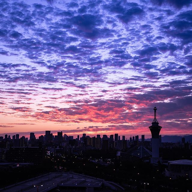 chromatic_tw's tweet photo. Sunset :::::::::::::::::::::::::::::::::::::::::::::::::::::::::::::::::::::::
.
.
.
.
.
#夕焼け #sunset #노을 #日落 #закат #puestadesol 
#photooftheday #picoftheday #instadaily #favorite #instagood #instafollow #followme #follow 
#japanpics #ig_japan 
#screen_archive #igersjp … https://t.co/rtAIwa7SC8