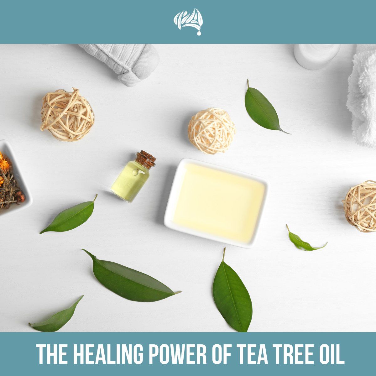 AusEucalyptus's tweet photo. Let's talk about tea tree oil and it's amazing healing power.
https://t.co/cXx3VHTjM4
.
#eucalyptus #eucalyptusoil #essentialoil #essentialoils #lavender #clove #peppermint #teatree #chemicalfree #chemicalfreehome #chemicalfreeliving #toxinfree #oilyjourney #oilylife https://t.co/dYSxMkQ3Qo