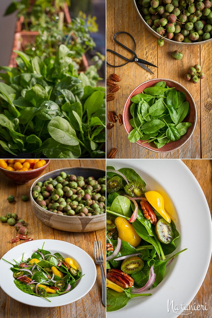 Bountiful autumn natanieri.sk/babie-leto/ #kiwiberries #tart #autumn #spinach #salad #kiwi #seasonal #produce #garden #harvest #lunch #fromgardentotable #zerowaste #zerocarbonmile #local #food #homemade #homebaked #sundaybaking #cooking #slovakfood #slovakfoodblog #natanierisk